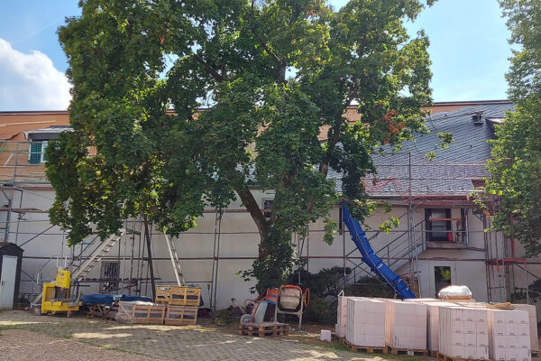 20220805-sli-KAL-Steinfeld-Trappistinnen-7